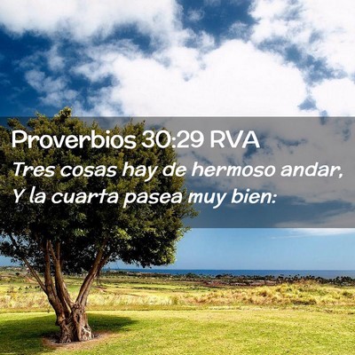 Picture 02 - Proverbios 30:29 RVA - Tres cosas hay de hermoso andar, Y la cuarta - Bible Verse Picture
