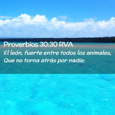 Picture 02 - Proverbios 30:30 RVA - El león, fuerte entre todos los animales, Que no - Bible Verse Picture