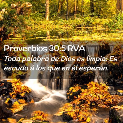 Picture 02 - Proverbios 30:5 RVA - Toda palabra de Dios es limpia: Es escudo á los - Bible Verse Picture