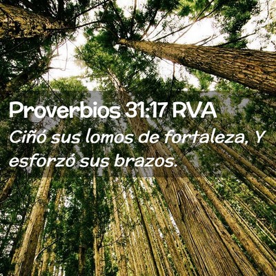 Picture 02 - Proverbios 31:17 RVA - Ciñó sus lomos de fortaleza, Y esforzó sus - Bible Verse Picture