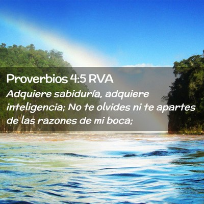 Picture 02 - Proverbios 4:5 RVA - Adquiere sabiduría, adquiere inteligencia; No te - Bible Verse Picture