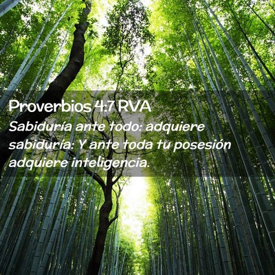 Picture 02 - Proverbios 4:7 RVA - Sabiduría ante todo: adquiere sabiduría: Y ante - Bible Verse Picture