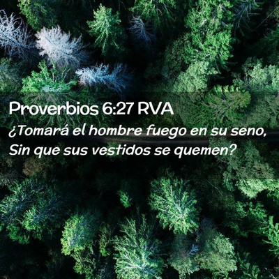 Picture 02 - Proverbios 6:27 RVA - ¿Tomará el hombre fuego en su seno, Sin que sus - Bible Verse Picture
