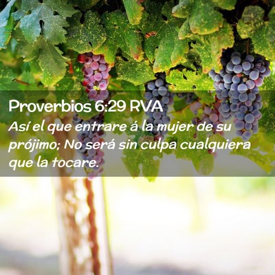 Picture 02 - Proverbios 6:29 RVA - Así el que entrare á la mujer de su prójimo; - Bible Verse Picture