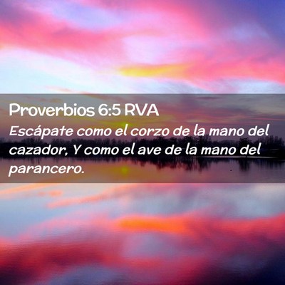Picture 02 - Proverbios 6:5 RVA - Escápate como el corzo de la mano del cazador, Y - Bible Verse Picture