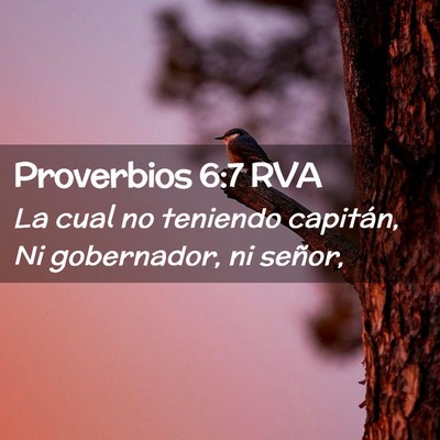 Picture 02 - Proverbios 6:7 RVA - La cual no teniendo capitán, Ni gobernador, ni - Bible Verse Picture