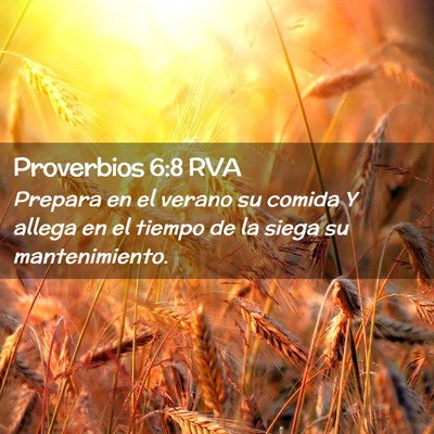 Picture 02 - Proverbios 6:8 RVA - Prepara en el verano su comida Y allega en el - Bible Verse Picture