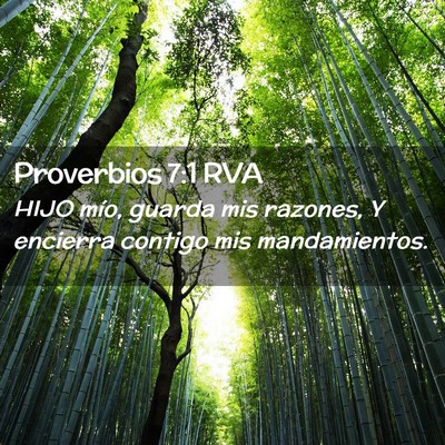 Picture 02 - Proverbios 7:1 RVA - HIJO mío, guarda mis razones, Y encierra contigo - Bible Verse Picture
