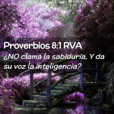 Picture 02 - Proverbios 8:1 RVA - ¿NO clama la sabiduría, Y da su voz la - Bible Verse Picture