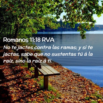Picture 02 - Romanos 11:18 RVA - No te jactes contra las ramas; y si te jactas, - Bible Verse Picture