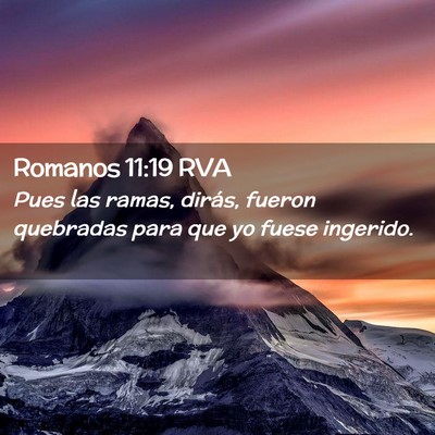 Picture 02 - Romanos 11:19 RVA - Pues las ramas, dirás, fueron quebradas para que - Bible Verse Picture