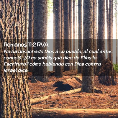 Picture 02 - Romanos 11:2 RVA - No ha desechado Dios á su pueblo, al cual antes - Bible Verse Picture