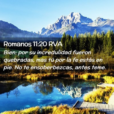 Picture 02 - Romanos 11:20 RVA - Bien: por su incredulidad fueron quebradas, mas - Bible Verse Picture