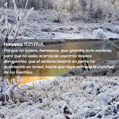 Picture 02 - Romanos 11:25 RVA - Porque no quiero, hermanos, que ignoréis este - Bible Verse Picture