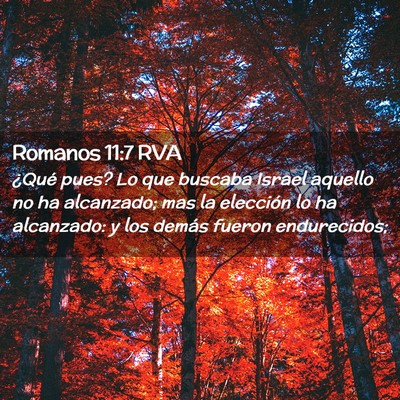 Picture 02 - Romanos 11:7 RVA - ¿Qué pues? Lo que buscaba Israel aquello no ha - Bible Verse Picture