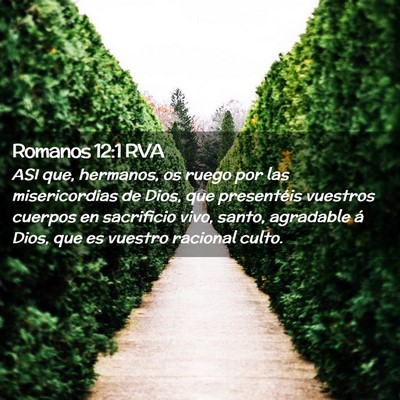 Picture 02 - Romanos 12:1 RVA - ASI que, hermanos, os ruego por las misericordias - Bible Verse Picture