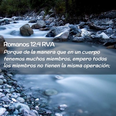 Picture 02 - Romanos 12:4 RVA - Porque de la manera que en un cuerpo tenemos - Bible Verse Picture