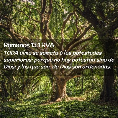 Picture 02 - Romanos 13:1 RVA - TODA alma se someta á las potestades superiores; - Bible Verse Picture