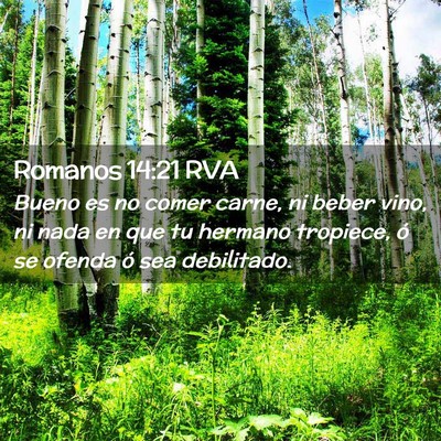 Picture 02 - Romanos 14:21 RVA - Bueno es no comer carne, ni beber vino, ni nada - Bible Verse Picture