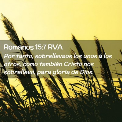 Picture 02 - Romanos 15:7 RVA - Por tanto, sobrellevaos los unos á los otros, - Bible Verse Picture