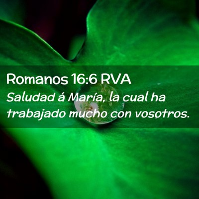 Picture 02 - Romanos 16:6 RVA - Saludad á María, la cual ha trabajado mucho con - Bible Verse Picture