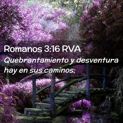 Picture 02 - Romanos 3:16 RVA - Quebrantamiento y desventura hay en sus - Bible Verse Picture