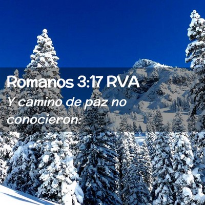 Picture 02 - Romanos 3:17 RVA - Y camino de paz no - Bible Verse Picture