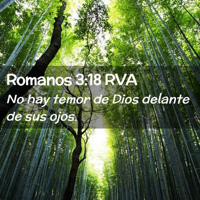 Picture 02 - Romanos 3:18 RVA - No hay temor de Dios delante de sus - Bible Verse Picture