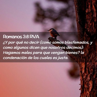 Picture 02 - Romanos 3:8 RVA - ¿Y por qué no decir (como somos blasfemados, y - Bible Verse Picture