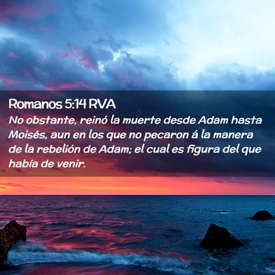 Picture 02 - Romanos 5:14 RVA - No obstante, reinó la muerte desde Adam hasta - Bible Verse Picture