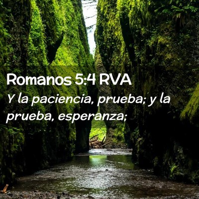 Picture 02 - Romanos 5:4 RVA - Y la paciencia, prueba; y la prueba, - Bible Verse Picture