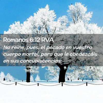 Picture 02 - Romanos 6:12 RVA - No reine, pues, el pecado en vuestro cuerpo - Bible Verse Picture