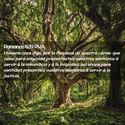 Picture 02 - Romanos 6:19 RVA - Humana cosa digo, por la flaqueza de vuestra - Bible Verse Picture