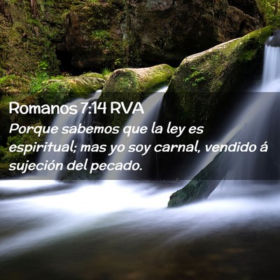 Picture 02 - Romanos 7:14 RVA - Porque sabemos que la ley es espiritual; mas yo - Bible Verse Picture