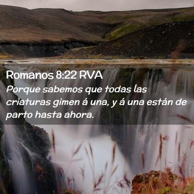 Picture 02 - Romanos 8:22 RVA - Porque sabemos que todas las criaturas gimen á - Bible Verse Picture