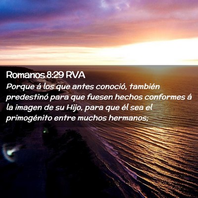 Picture 02 - Romanos 8:29 RVA - Porque á los que antes conoció, también - Bible Verse Picture