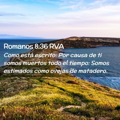 Picture 02 - Romanos 8:36 RVA - Como está escrito: Por causa de ti somos muertos - Bible Verse Picture