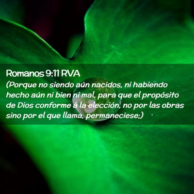 Picture 02 - Romanos 9:11 RVA - (Porque no siendo aún nacidos, ni habiendo hecho - Bible Verse Picture
