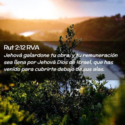 Picture 02 - Rut 2:12 RVA - Jehová galardone tu obra, y tu remuneración sea - Bible Verse Picture