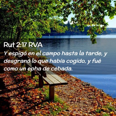 Picture 02 - Rut 2:17 RVA - Y espigó en el campo hasta la tarde, y desgranó - Bible Verse Picture