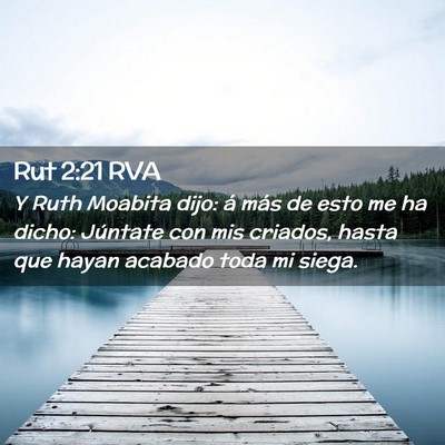 Picture 02 - Rut 2:21 RVA - Y Ruth Moabita dijo: á más de esto me ha dicho: - Bible Verse Picture