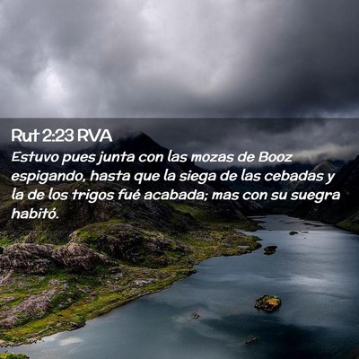 Picture 02 - Rut 2:23 RVA - Estuvo pues junta con las mozas de Booz - Bible Verse Picture