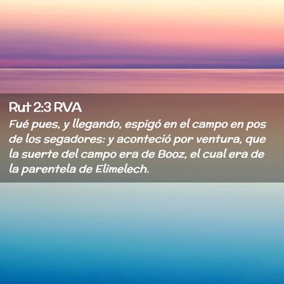Picture 02 - Rut 2:3 RVA - Fué pues, y llegando, espigó en el campo en pos - Bible Verse Picture