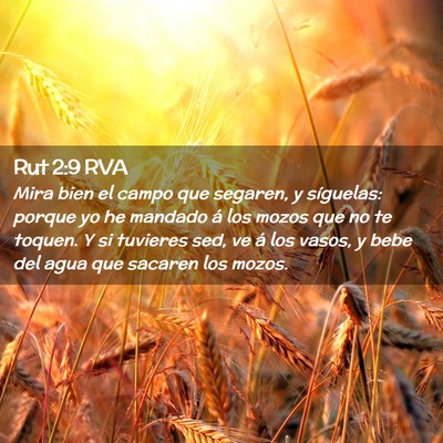 Picture 02 - Rut 2:9 RVA - Mira bien el campo que segaren, y síguelas: - Bible Verse Picture