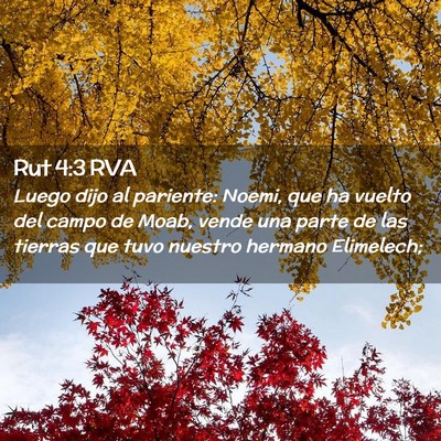 Picture 02 - Rut 4:3 RVA - Luego dijo al pariente: Noemi, que ha vuelto del - Bible Verse Picture