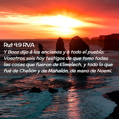 Picture 02 - Rut 4:9 RVA - Y Booz dijo á los ancianos y á todo el pueblo: - Bible Verse Picture