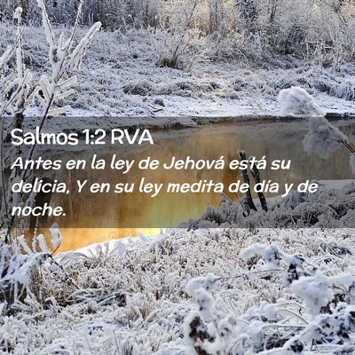 Picture 02 - Salmos 1:2 RVA - Antes en la ley de Jehová está su delicia, Y en - Bible Verse Picture