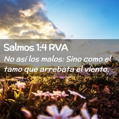 Picture 02 - Salmos 1:4 RVA - No así los malos: Sino como el tamo que arrebata - Bible Verse Picture