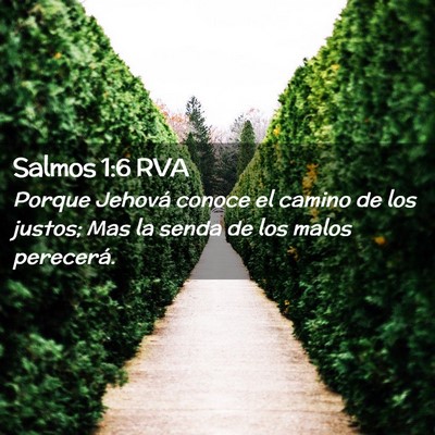 Picture 02 - Salmos 1:6 RVA - Porque Jehová conoce el camino de los justos; - Bible Verse Picture