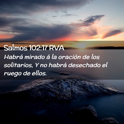 Picture 02 - Salmos 102:17 RVA - Habrá mirado á la oración de los solitarios, Y - Bible Verse Picture